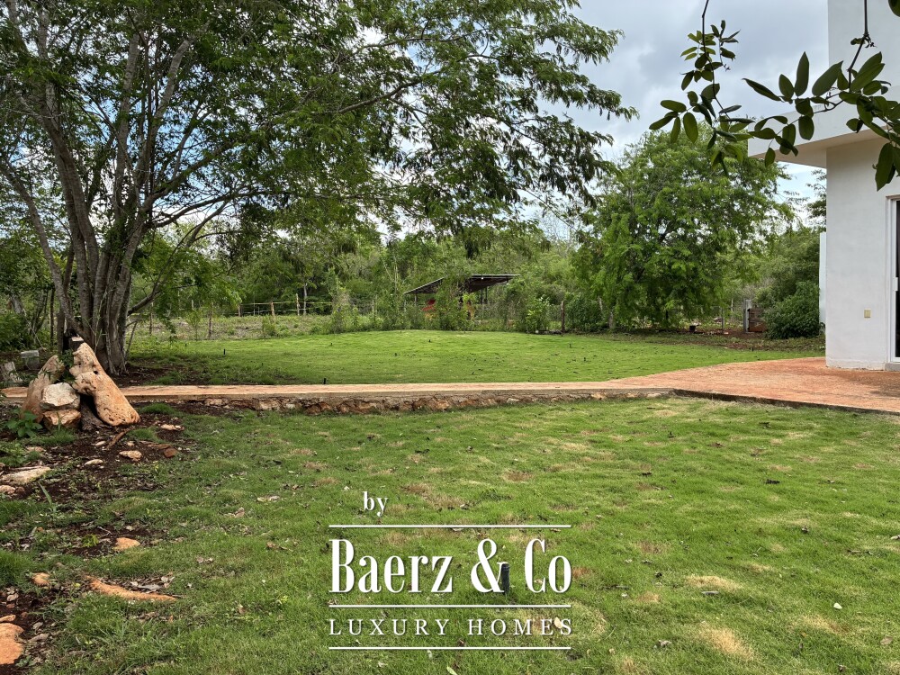 Foto 13 1000w