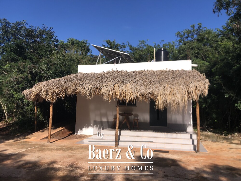 Foto 21 1000w