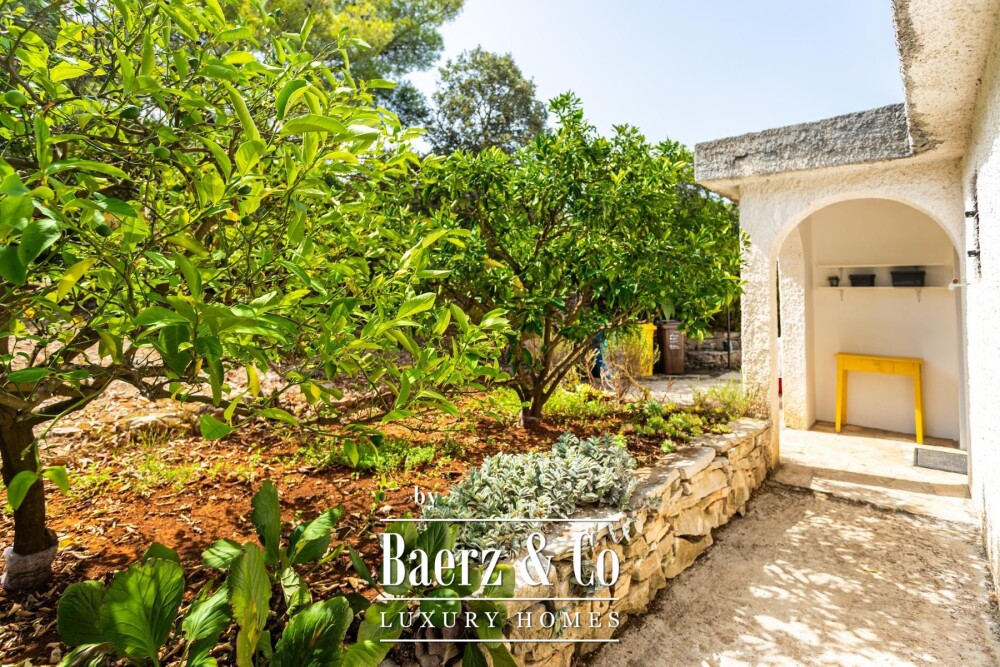 Foto 29 1000w